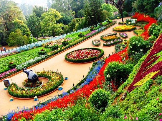 beautiful-botanical-garden