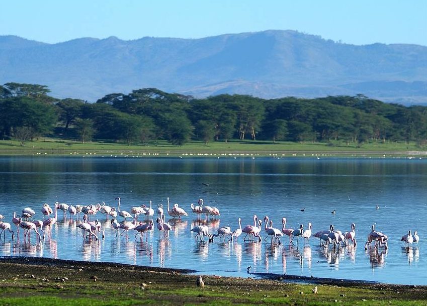 Lake-Naivasha